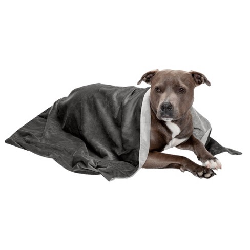 FurHaven Waterproof Velvet Pet Throw Blanket for Dogs and Cats