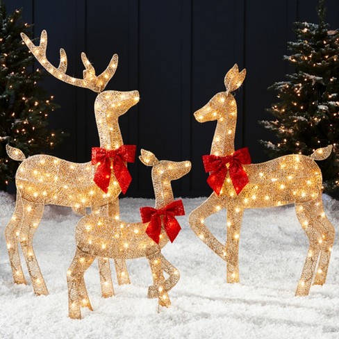 Outdoor Christmas Decorations & Yard Decor