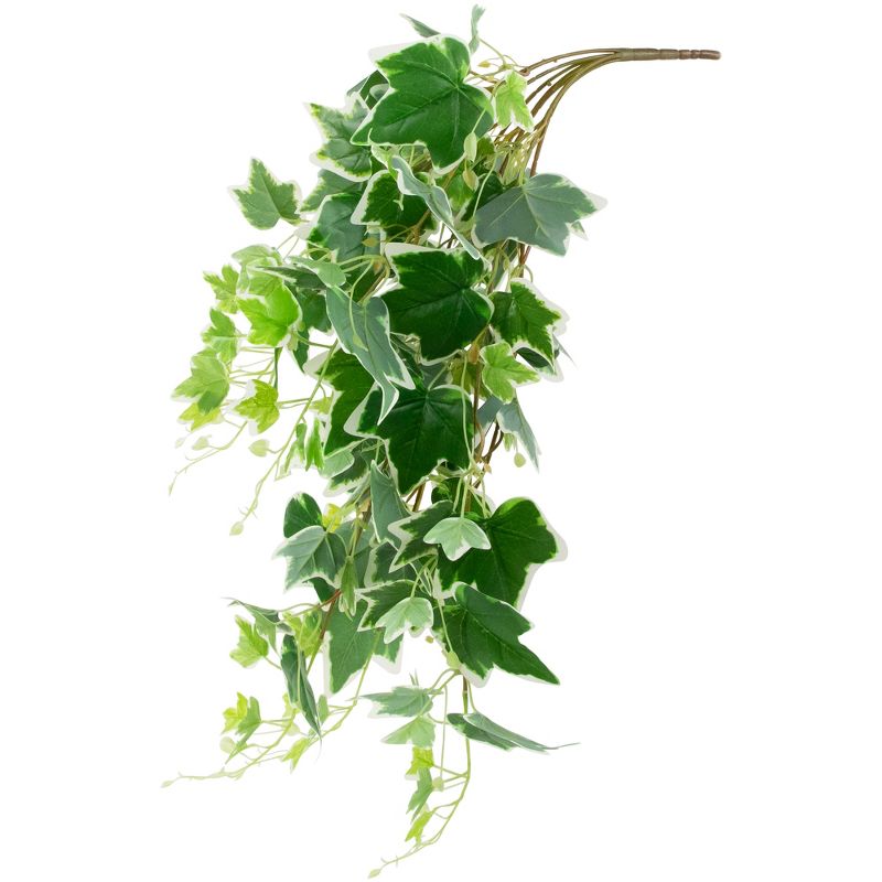 Northlight 31.5" Ivy Floral Artificial Hanging Spring Floral Bush - Green/White, 3 of 7