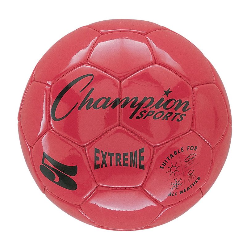 Champion Sports Extreme Soccer Balls, 2 of 4