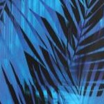 blue electric palm
