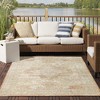 Nourison Essentials Persian Vintage Indoor Outdoor Area Rug - 2 of 4