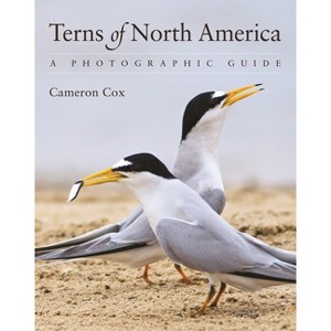 Terns of North America - by  Cameron Cox (Paperback) - 1 of 1