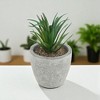 Unique Bargains Artificial Plants Mini Sword Grass in Pulp Plastic Green 2.76"x2.76"x3.94" 1 Pcs - 2 of 4