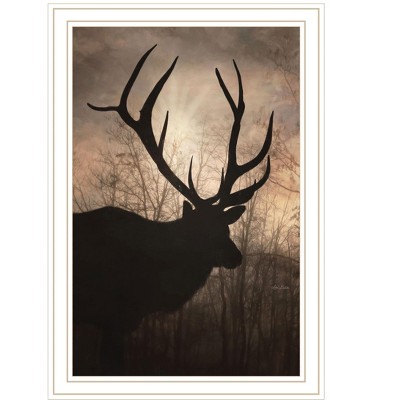 HomeRoots Elk Sunrise White Framed Print Wall Art
