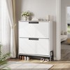 Shoe Cabinet with 2 Flip Drawers and Metal Legs, Freestanding Narrow Shoe Rack, Space-Saving Oak Shoe Storage Organizer for Entryway - 2 of 4