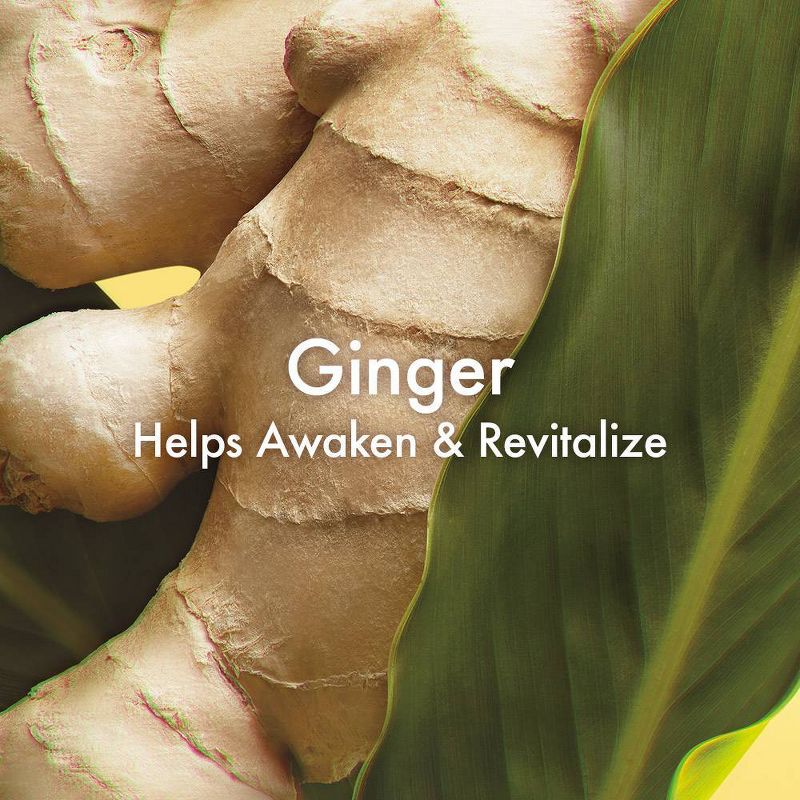 Origins Ginger Hand & Body Lotion - Ulta Beauty, 3 of 4
