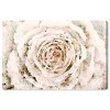 10" x 15" Brown Winter Flower Floral & Botanical Unframed Canvas Wall Art in White - Oliver Gal: Cottage Country Style, Digital Art Print - 2 of 4