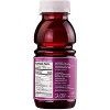 Kedem Grape Juice - 8oz Plastic Bottle (Pack of 12) - 3 of 4