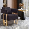 Sapphtopaz 2PCS Modern Accent Chair with Armrest Teddy Upholstered Comfy Chair with Square Metal Legs Accent Chairs for Living Room, Bedroom - 3 of 4
