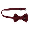 CTM Men's Knitted Bow Tie - 3 of 3