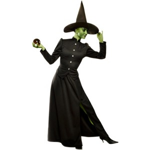 Franco Wicked Witch Plus Size Women's Costume - 1 of 1