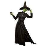 Franco Wicked Witch Plus Size Women's Costume