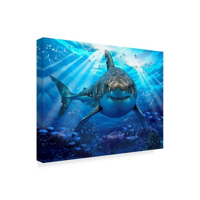 Trademark Fine Art - Howard Robinson Stalking Shark Matted Framed Art
