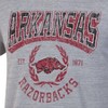 NCAA Arkansas Razorbacks Men's Gray Triblend T-Shirt - 3 of 3