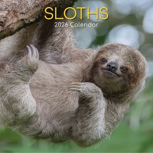 2026 Square Wall Calendar, Sloths, 16-Month Animals Theme with 180 Reminder Stickers (12x12 In) - 1 of 4
