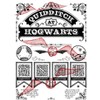 Harry Potter Quidditch Confetti Blue Boy's Short-Sleeve T-shirt - 2 of 3