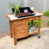 Tierra Garden Gardener's Table with Wheels, Cabinet and Drawer - 2 of 4
