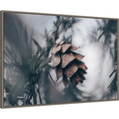 Nathan Larson Pinecone Macro Canvas Print in Gray Frame
