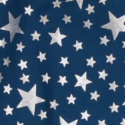 navy - silver stars