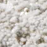 cream, charcoal, mustard, mediumbrown, lightgray, lightbrown