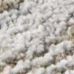 cream, charcoal, mustard, mediumbrown, lightgray, lightbrown