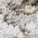 cream, charcoal, mustard, mediumbrown, lightgray, lightbrown