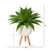 Nearly Natural 33-in Agave Succulent Artificial Plant in White Planter with Stand - image 2 of 4