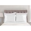 Satin Pillowcase  for Hair and Skin - 2 Pack Pillow Case with Zipper - Shopbedding - 2 of 4