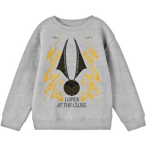 Harry Potter I Open At The Close Youth Boys Athletic Heather Gray Long Sleeve Sweatshirt - 1 of 1