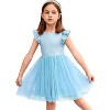 Arshiner Toddler Tutu Dress Little Girls Fluffy Summer Dresses Casual Party Tulle Sundress for Kids - 3 of 4