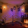 INFURNIC Party Decorations and Accessories Spooky Halloween Tree with Adjustable Branches and Purple Glow, Black, 35"*35"*76.8" - 4 of 4