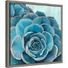 Amanti Art Grasping II (Succulent) by Eva Watts Canvas Wall Art Print Framed 16 x 16-in. - 2 of 4