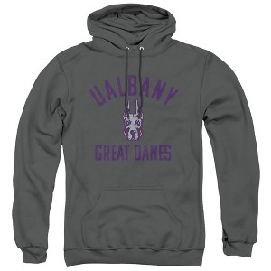 University at Albany Official Ualbany Logo Adult Pull-Over Hoodie - 1 of 4