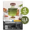 Nutrish Dish Chicken, Vegetable, Fruit & Brown Rice Dry Dog Food - 3 of 4