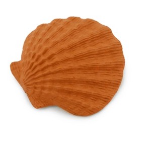 Collectible Wildlife Gifts | Scallop Shell, Lion's Paw, Orange Shell, Ocean, Sea Life, Plastic Model,  Animal, Life Like, Gift,  1 3/4"  F4115 B96 - 1 of 4