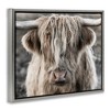 Stupell Industries Detailed Highlands Cattle Rural Farm Photography Black Floater Framed Canvas Wall Art - 3 of 4