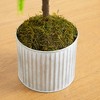 Nearly Natural 3' Artificial Real Touch Norfolk Island Pine in Metal Tin Planter with Natural Look - 3 of 4