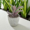 Unique Bargains Artificial Plants Plastic Pink 2.44"x2.44"x3.35" 1 Pcs - 2 of 4