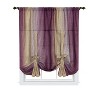 GoodGram Ombre Crushed Satin Sheer Single Window Curtains & Valances - 2 of 4