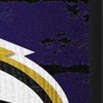 baltimore ravens