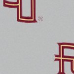 florida state seminoles