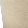 Mark & Day Winklern 14"H x 18"W x 18"D Traditional Gray Ceiling Lights - 4 of 4