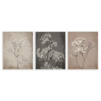 Stupell Industries Botanical Baby's Breath Herbs, 11" x 14"