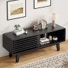 Fontoi TV Stands and Consoles, Mid-Century Modern TV Stand, Entertainment Center with Storage for Living Room Bedroom, Black, 14.2"*17.8"*46" - 3 of 4