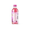 JuneShine Strawberry Dragon Fruit Kombucha - 16 fl oz - 2 of 3