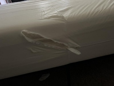 Guest review image 1 of 1, zoom in