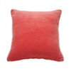 C&F Home Flamingo Coral Velvet Pillow - 2 of 4