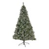 Pvc 9 Ft. Brilste Mixed Hinged Tree With Snowflakes And Glitter And 114 Frosted Pine Cones, Diameter: 61 - 4 of 4