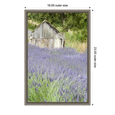 Lavender Field and Shed Framed Canvas Wall Art